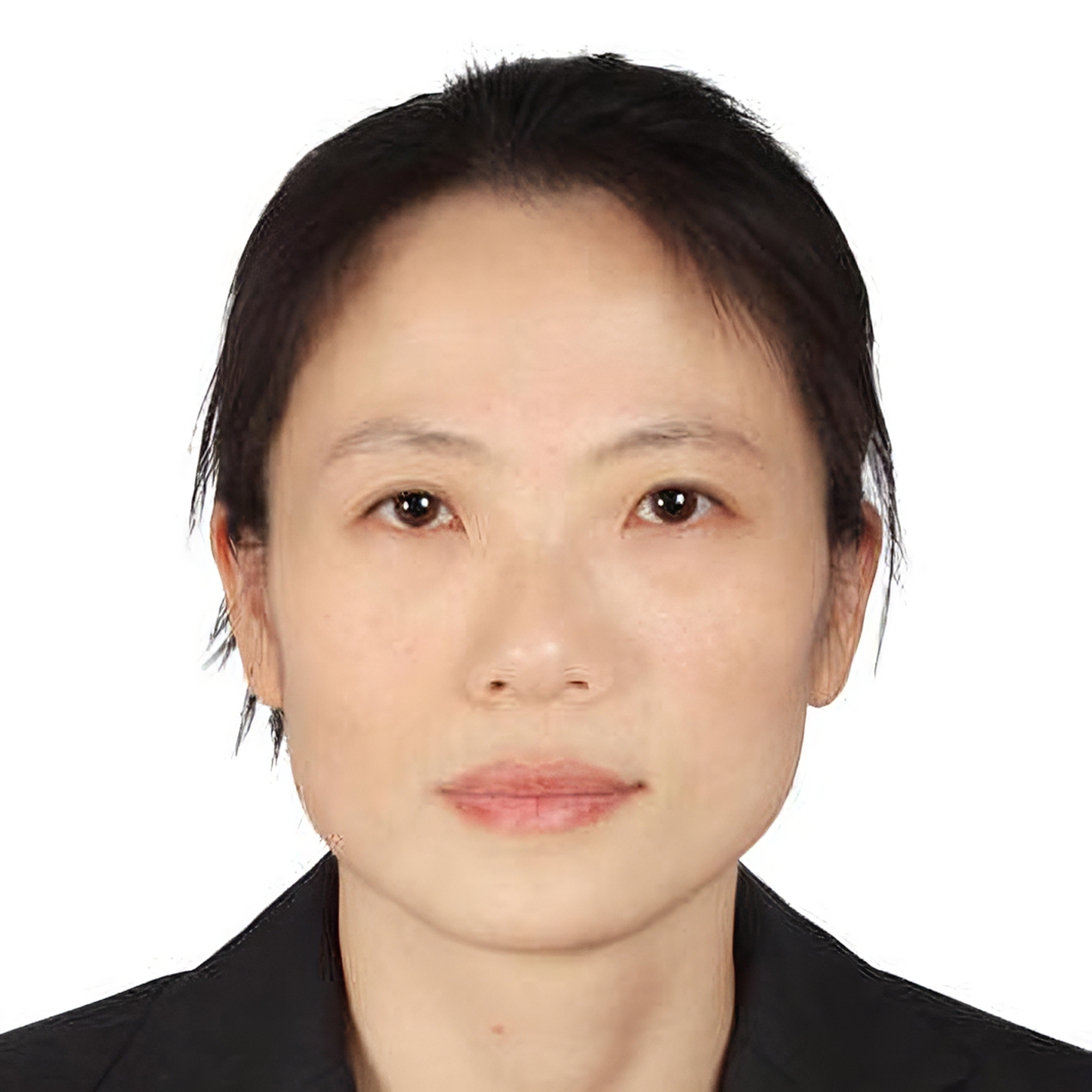 Professor Xiaoyan Zhu